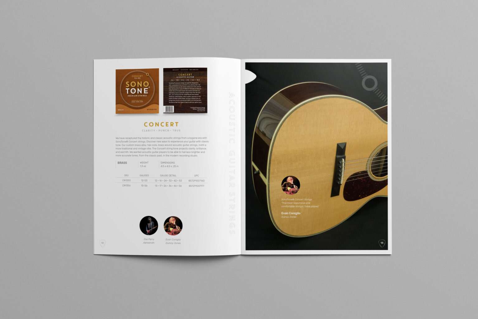 SonoTone catalog spread highlighting acoustic string families with warm studio guitar imagery.