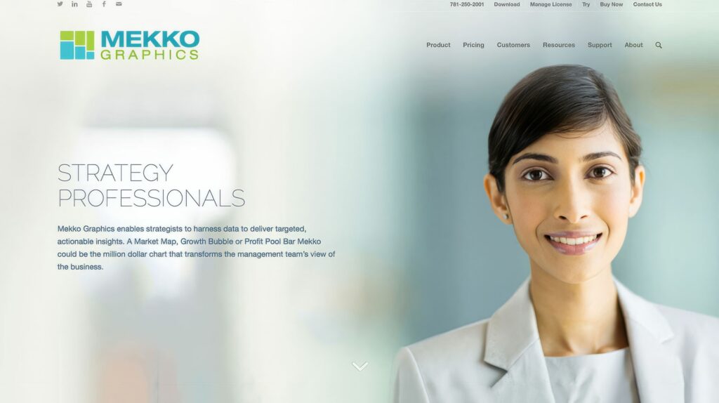 Strategy Professionals segment page, million-dollar chart guidance beside a smiling strategist in the soft-focus hero.