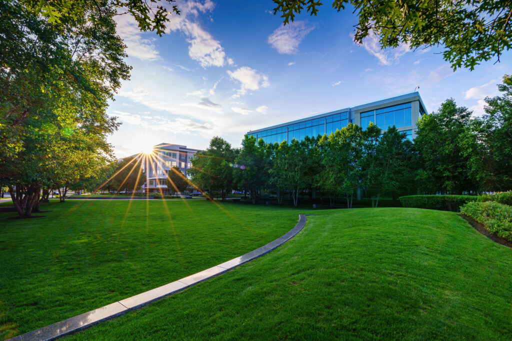 Sunburst breaking through the trees across a curved lawn path toward the glass campus office building at golden hour.