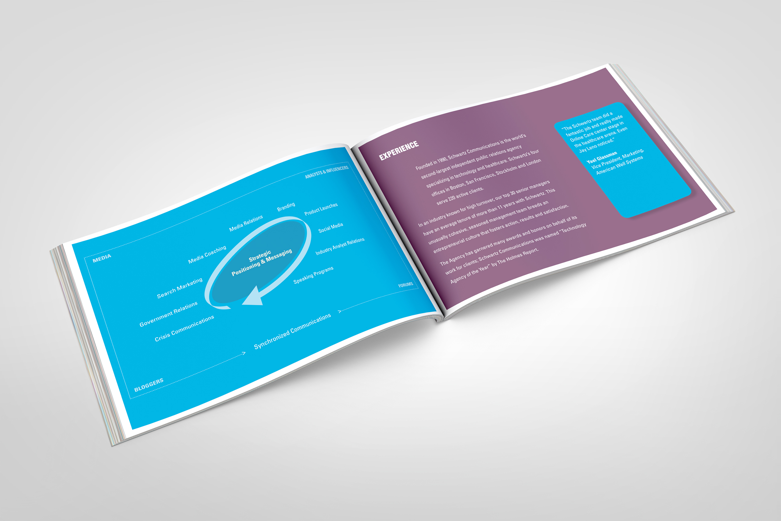 Experience spread from the landscape brochure, the Strategic Positioning & Messaging service cycle diagrammed in blue beside plum experience copy.