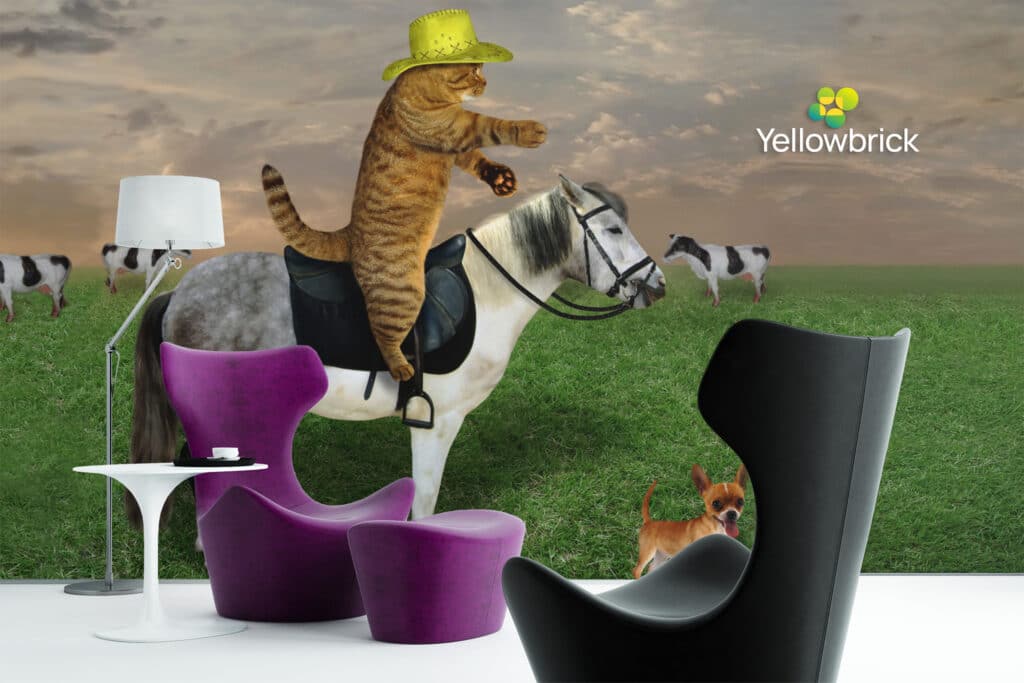 Virtual meeting backdrop where the hatted cat rides its horse across a pasture wall mural between purple and black lounge chairs.