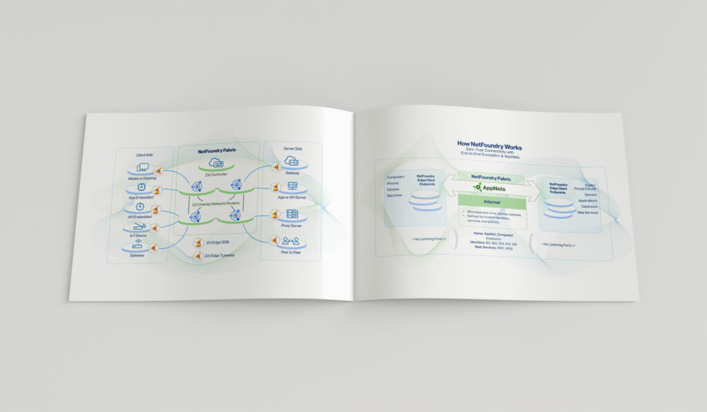 Spread of the platform diagrams, client and server sides flowing through the fabric into the AppNets connectivity chart.