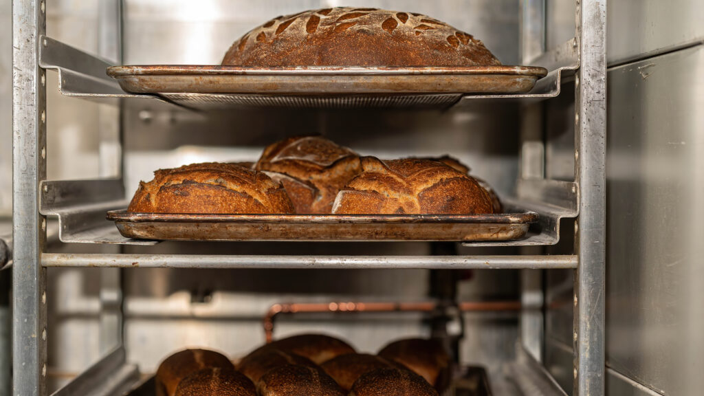 Dark crusted sourdough loaves cooling on sheet trays in a steel rack at Breadboard Bakery.
